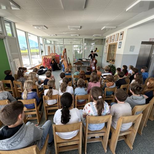 Die Vielsaitigen