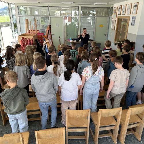 Die Vielsaitigen