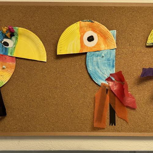Paradiesvögel