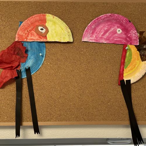 Paradiesvögel