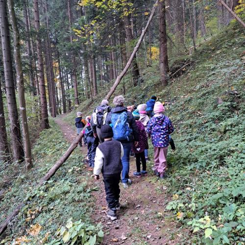 Wald