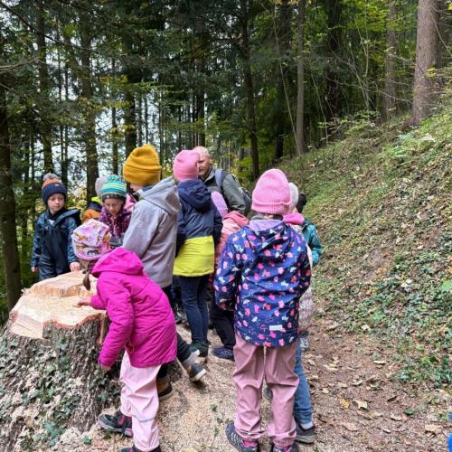 Wald