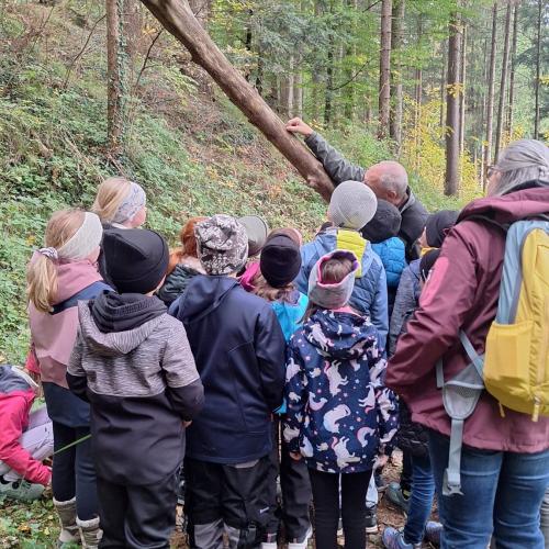 Wald