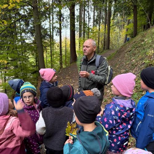 Wald