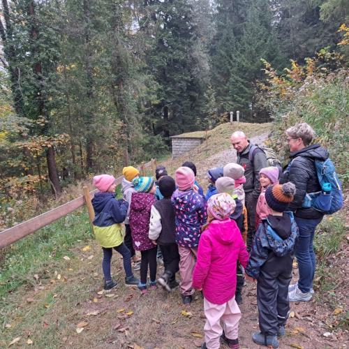 Wald