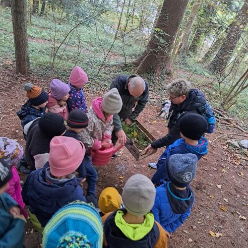 Wald