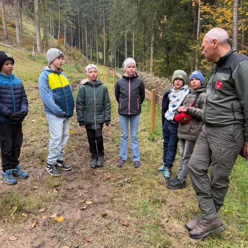 Wald