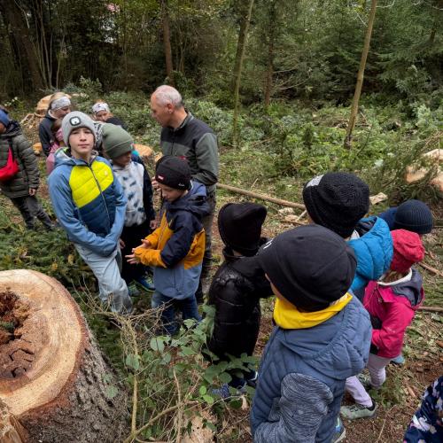 Wald