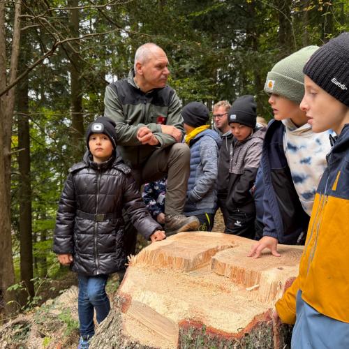 Wald