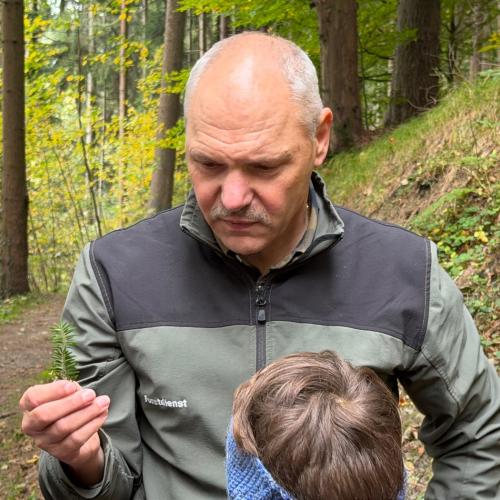 Wald