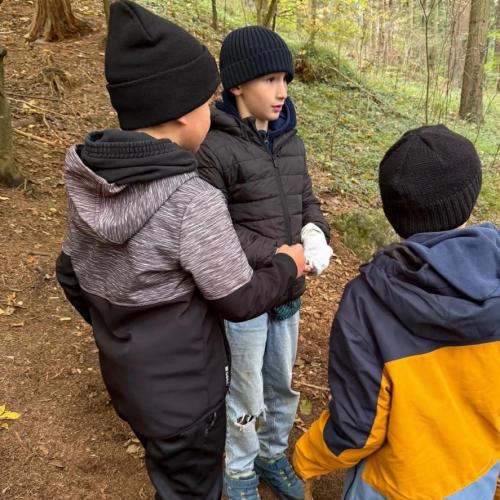 Wald