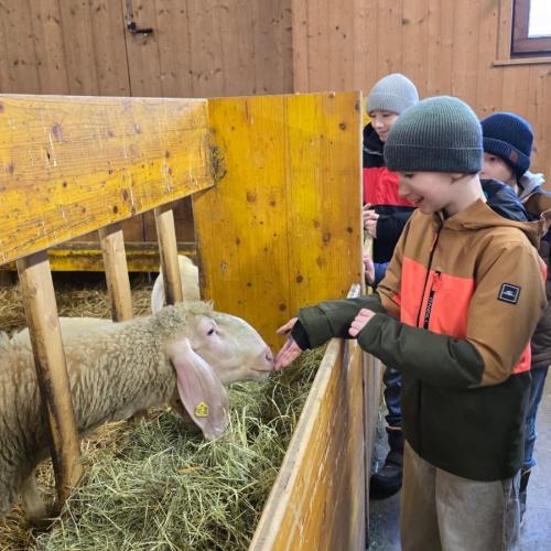 Besuch am Bauernhof 