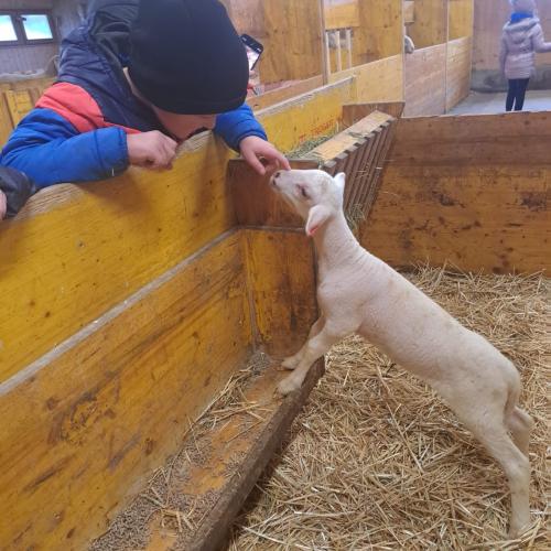 Besuch am Bauernhof 