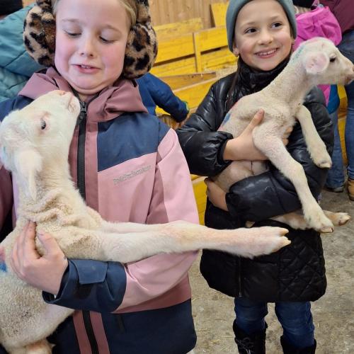 Besuch am Bauernhof 