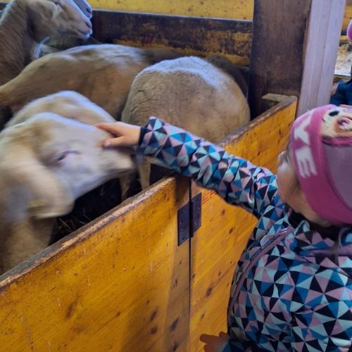 Besuch am Bauernhof 