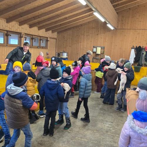 Besuch am Bauernhof 