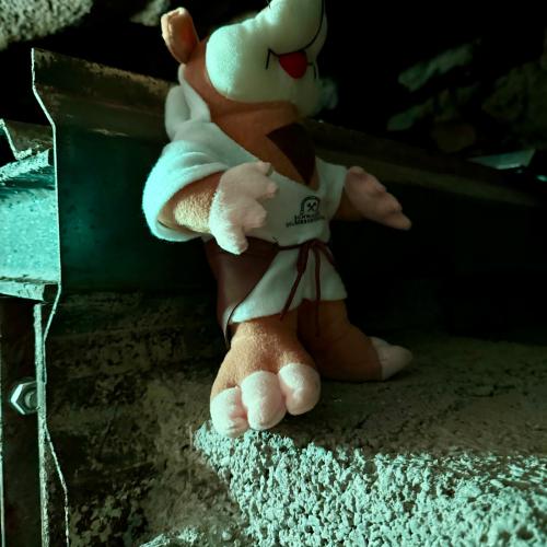 Silberbergwerk Schwaz 