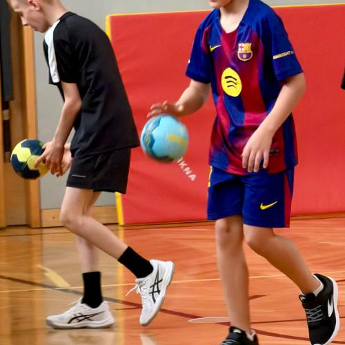 Handball 