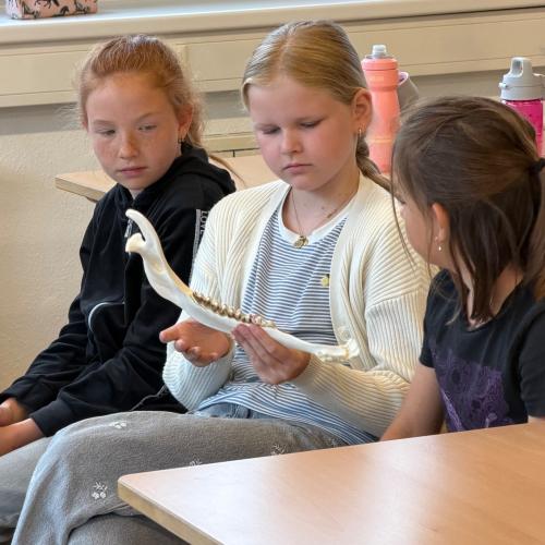 Referat Hirsch 