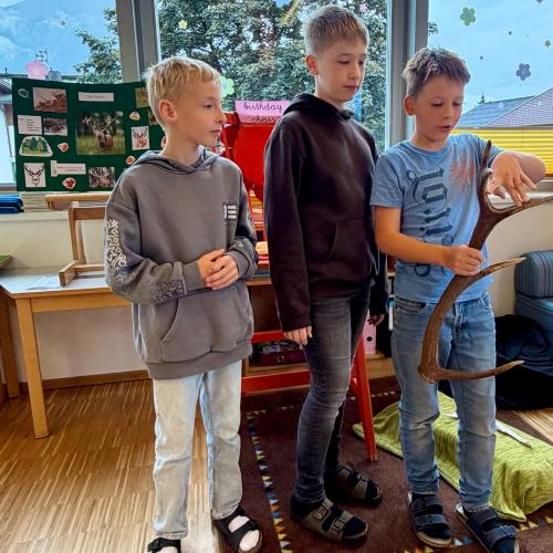 Referat Hirsch 