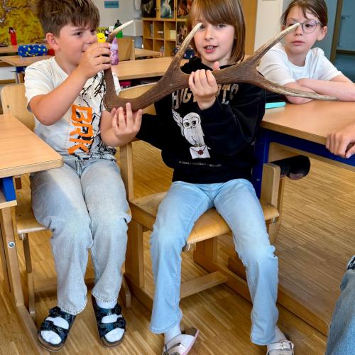 Referat Hirsch 
