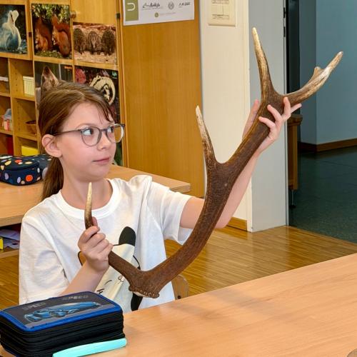 Referat Hirsch 