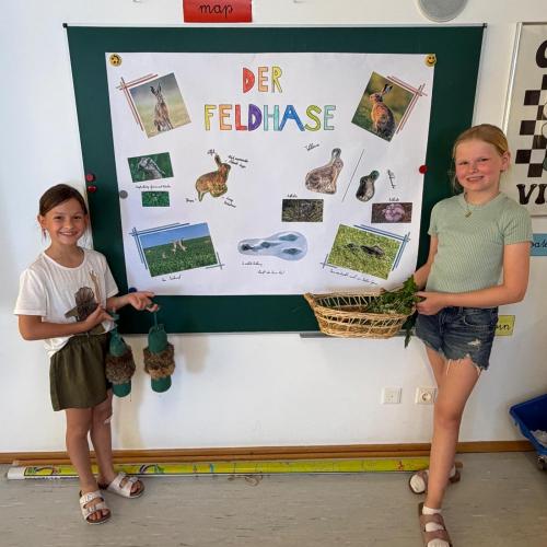Der Feldhase 