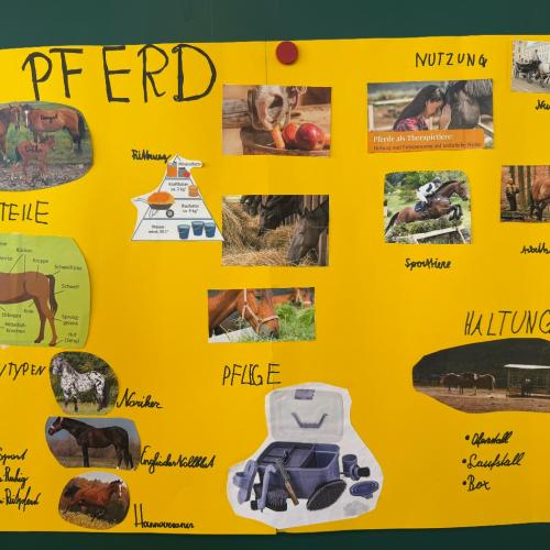 Pferd