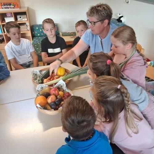 Obst & Gemüse 