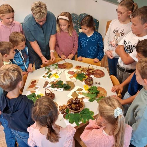 Blätter und Bäume 
