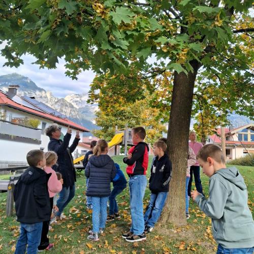 Blätter und Bäume 