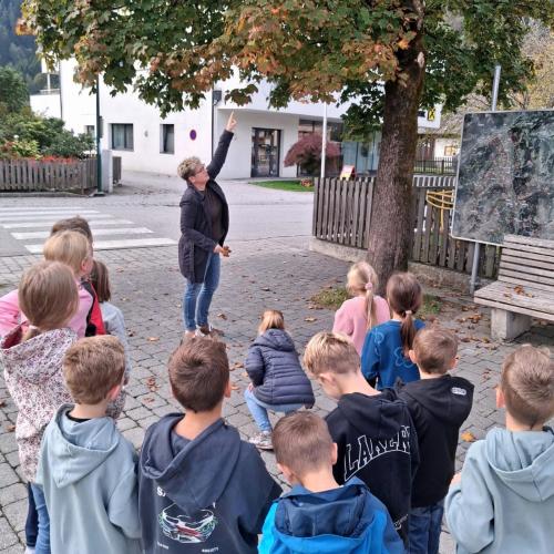 Blätter und Bäume 